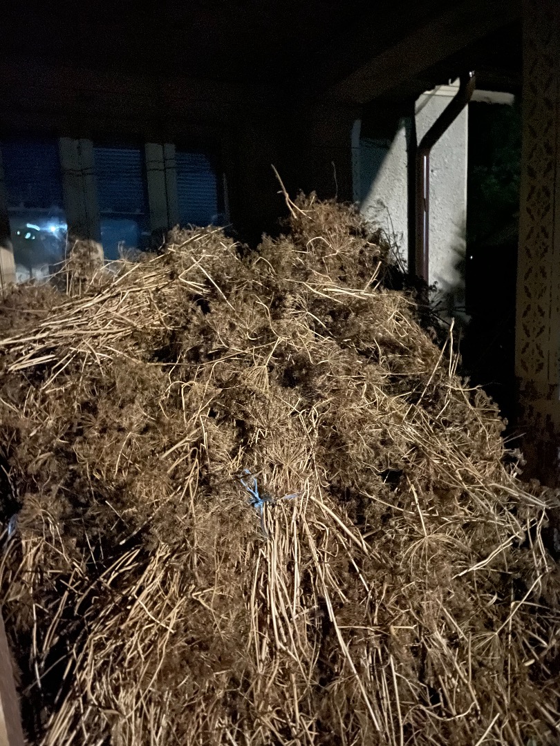 I am selling large bundles of dried dill for 30 lei