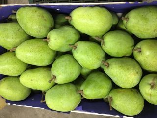 Sell pears Lucas in boxes 12 kg Or 20kg