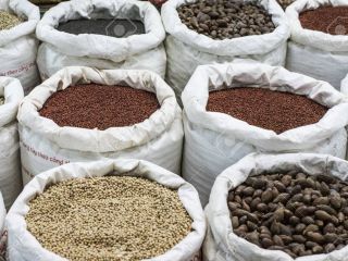 We are suppliers of dry beans, we mainly range