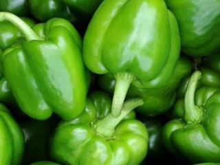 I have green peppers for sale, ground quantity of