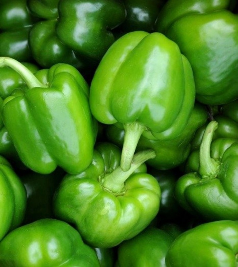I have green peppers for sale, ground quantity of trucks