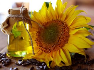 We supply such types of sunflower oil wholesale: Refined