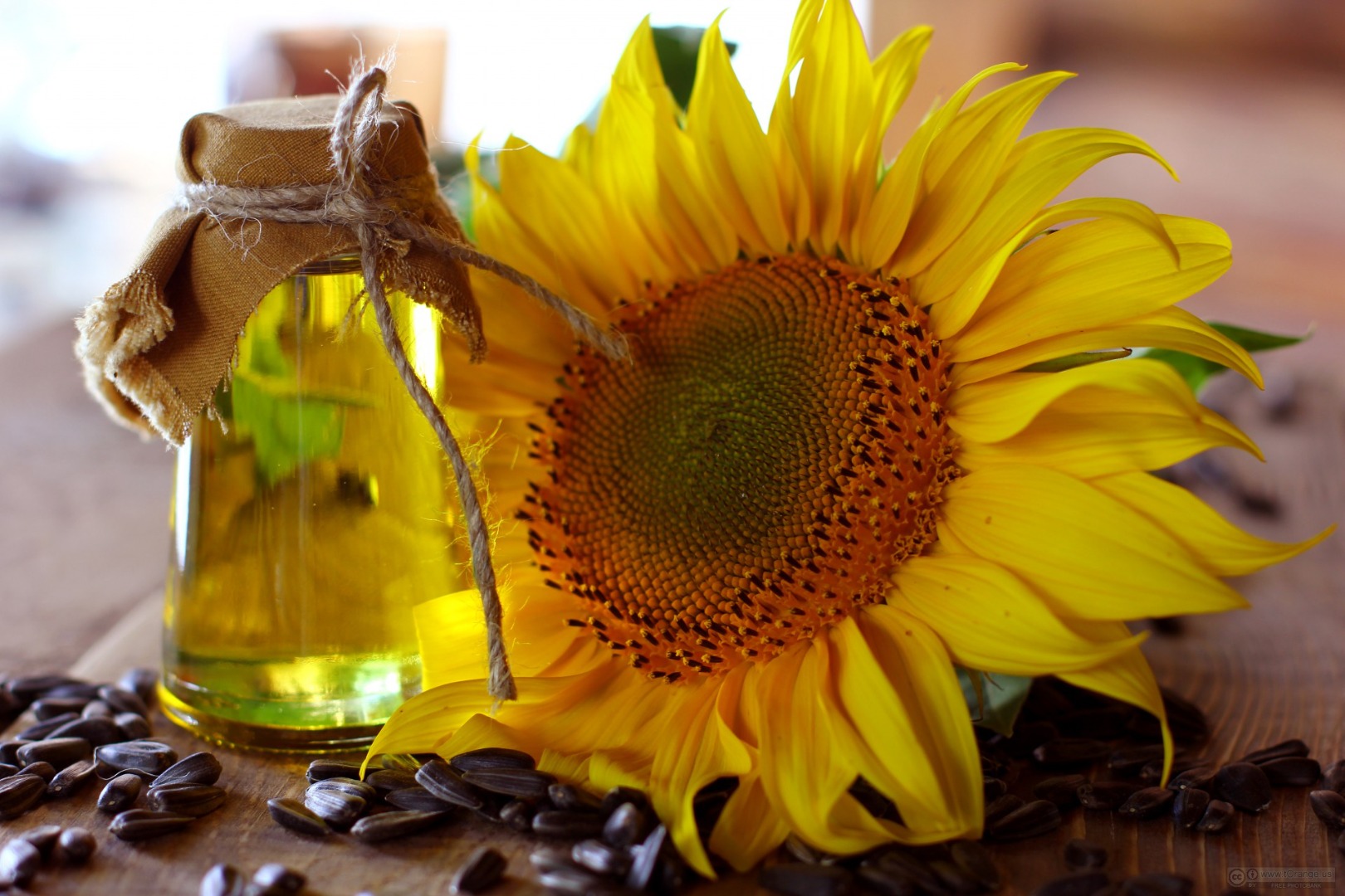 We supply such types of sunflower oil wholesale: Refined oil in bulk Unrefined oil in bulk Refined and unrefined oil in bottles High-oleic oil in bulk and in