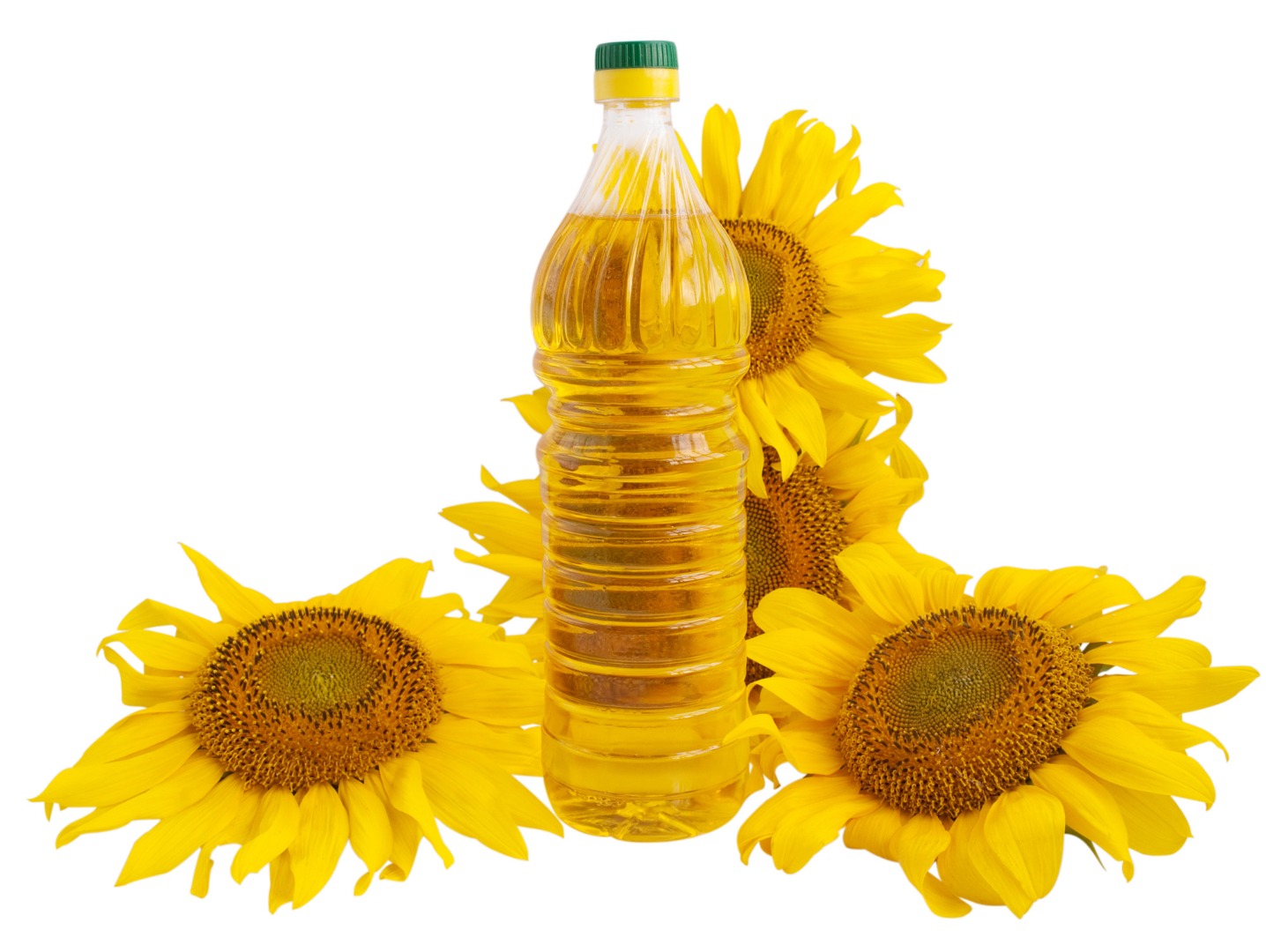 We supply such types of sunflower oil wholesale: Refined oil in bulk Unrefined oil in bulk Refined and unrefined oil in bottles High-oleic oil in bulk and in