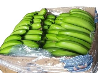 We are into the business of wholesaling, distributing, supplying