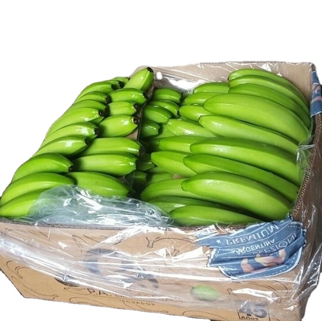 We are into the business of wholesaling, distributing, supplying and trading fresh range of Cavendish Bananas that are rich in calcium and are easy to digest