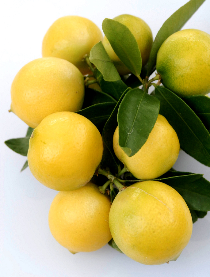 Słodka cytryna, zwana też limonką, śródziemnomorska limonka, słodka limonkowa cytryna z Tunezji, bergamotka z Tunisu, lim ahlou (po arabsku) to owoc cytrusowy