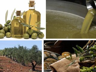 Huile Olive Tunisie en Vrac