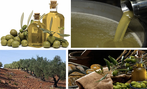 Huile Olive Tunisie en Vrac