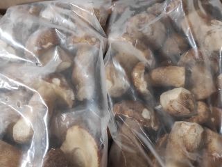 Frozen mushrooms first quality i have around 15 tons