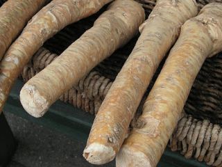 Hello. I am selling a 2-year-old horseradish root. For