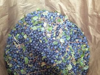 I will sell forest berries from Belarus, frozen, not