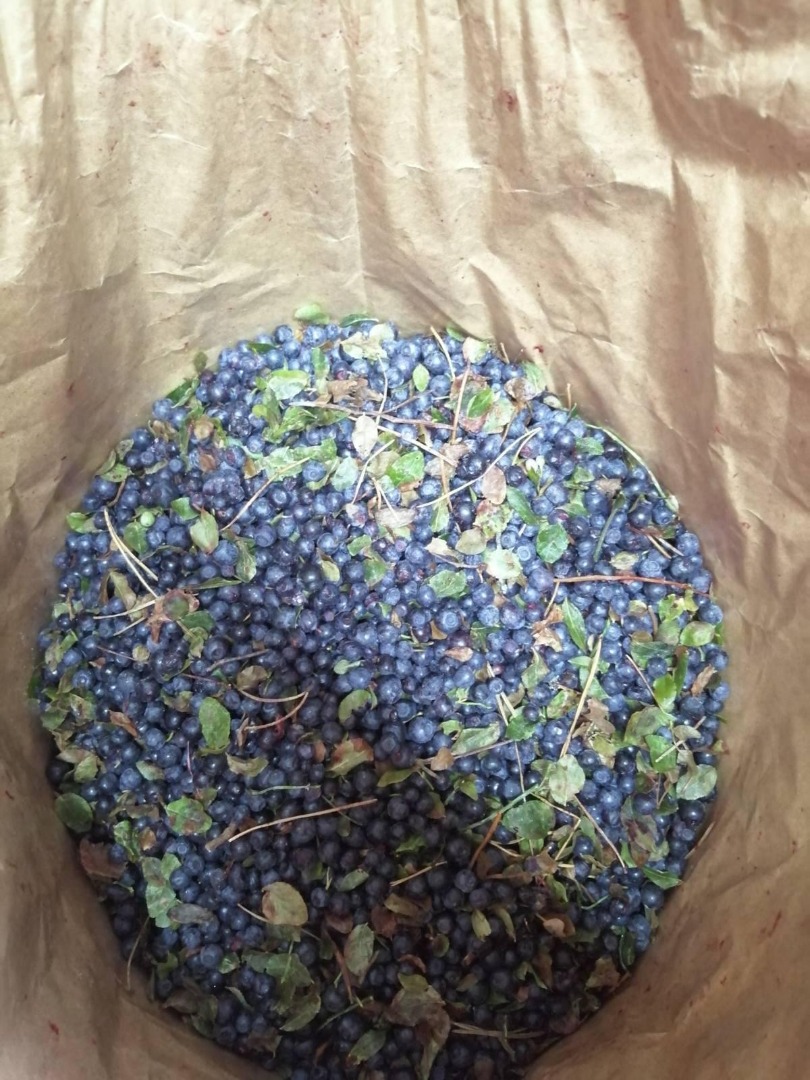 I will sell forest berries from Belarus, frozen, not cleaned - TIR quantities
