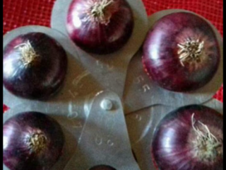 Red onion calibrated 40-90