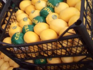 I am urgently selling 12 t of tangerines. They