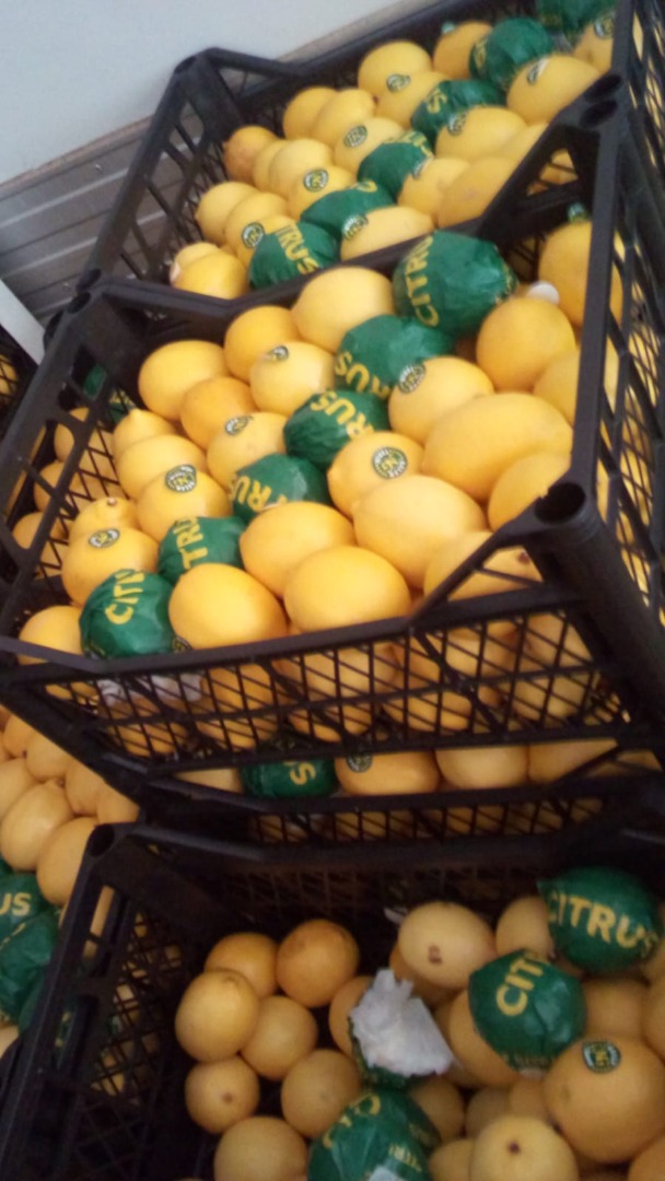 I am urgently selling 12 t of tangerines