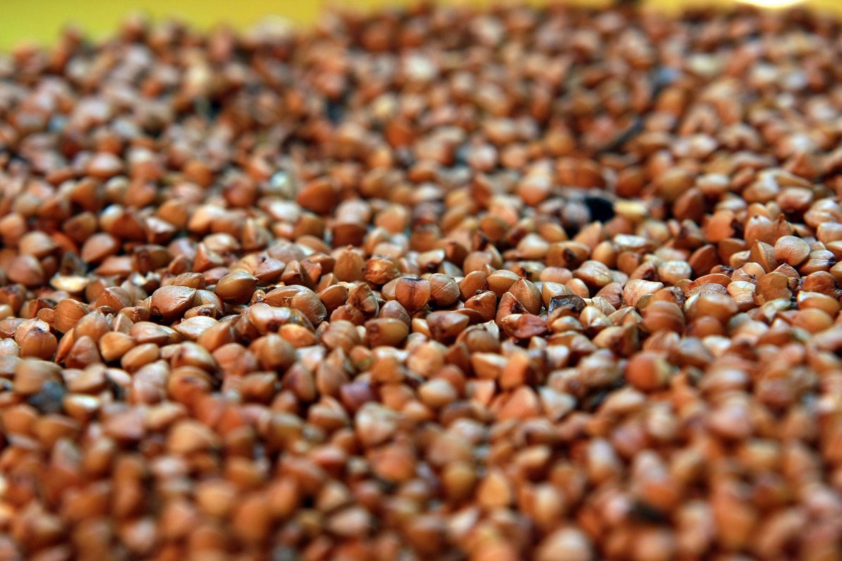 Organic Buckwheat