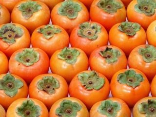 QUALITY Persimmon ALL INFORMATION BY AND TELEGRAMS