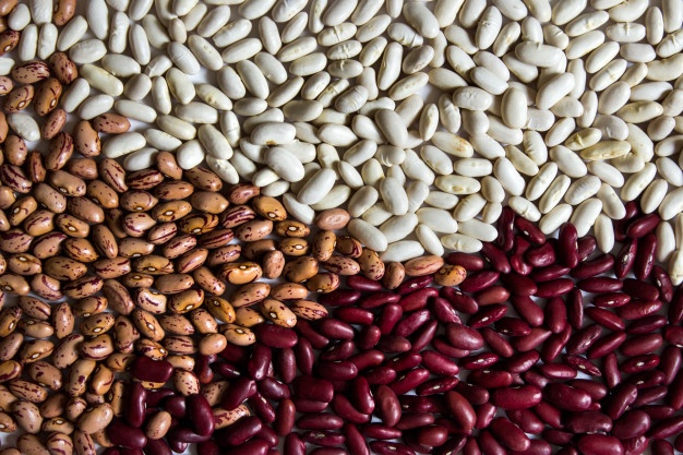 Beans from Ukrainian fields We offer beans from Ukrainian fields for sale