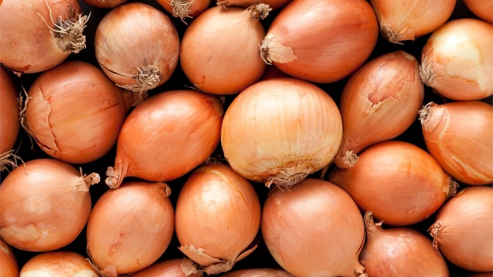 Remark:Plump, clean, shiny, unspoiled Supply period:all year around Harvest time :In September Supply capacity yearly:500 tons Exporting standard and quality: