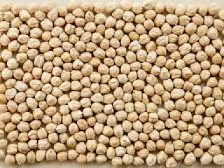 Product Type: Chickpeas Foreign material: 0.2% max. Seed under