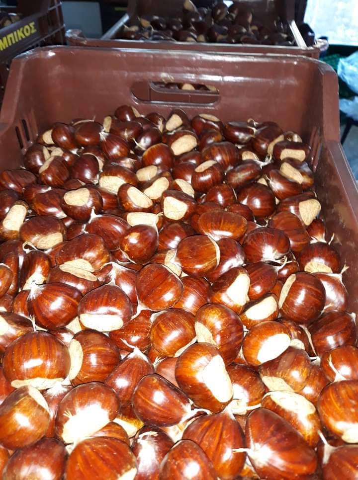 chestnuts