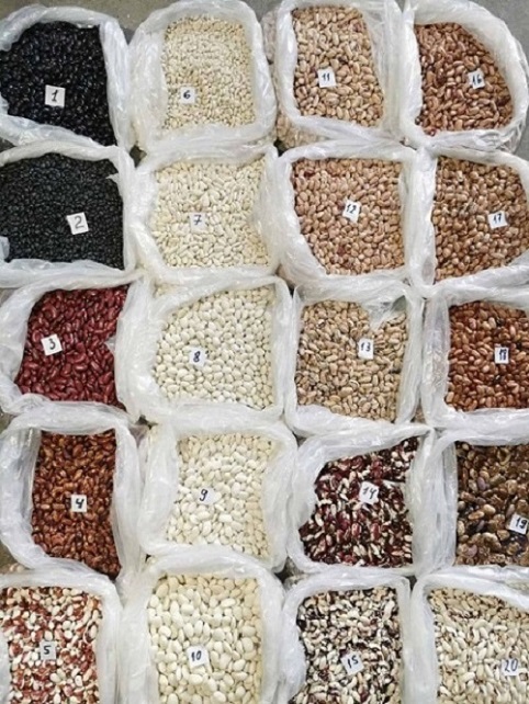 I will sell beans in bulk We offer to buy beans in bulk from the Ukrainian company Bins Naturprodukt