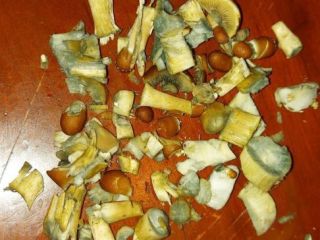 Golden Teacher shrooms, penis Envy shrooms,and other psychedelic drugs