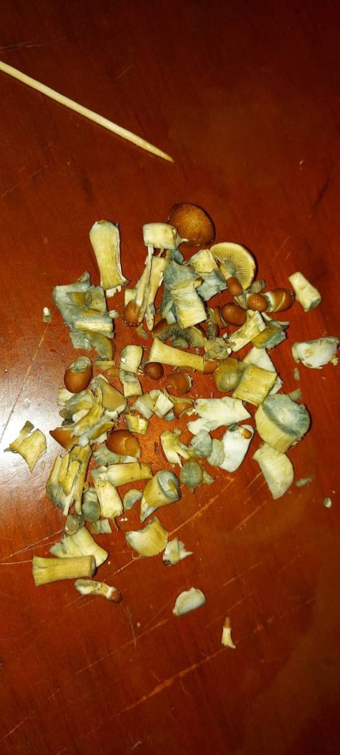 Golden Teacher shrooms, penis Envy shrooms,and other psychedelic drugs available at a very affordable price, discreet delivery available....get back to me for