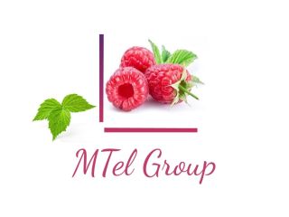 Hello, Mtel Fruit Group, a Group of Companies engaged