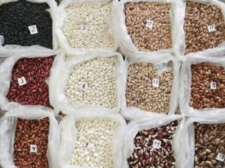 Wholesale beans We offer bulk purchase of beans from