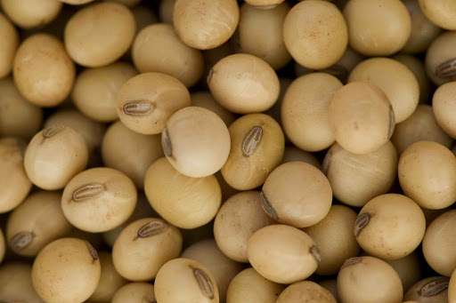 Our products FOB prices , All available with us we looking for serious buyer's, Peanut 1520$ MT Quantity 1000mt Non Gmo Soyabean 660$ mt Quantity Trial 1000mt