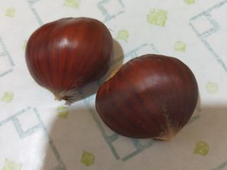 I sell very healthy chestnuts for human consumption. Medium