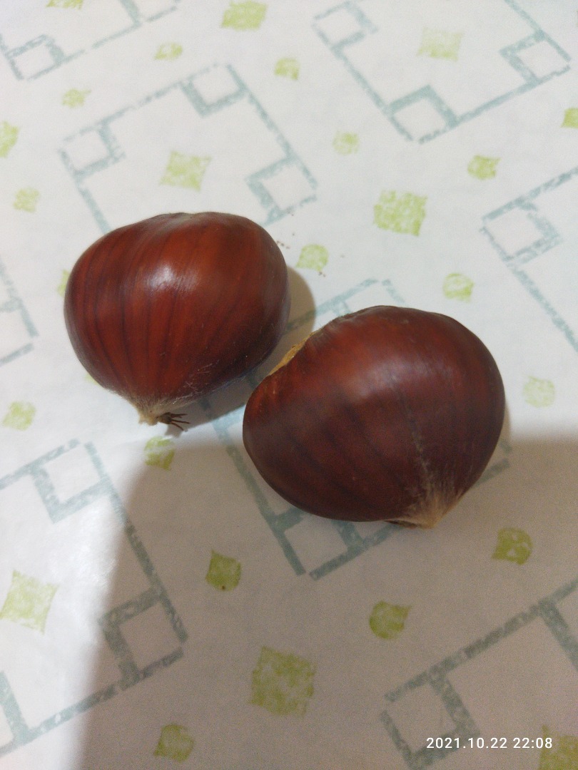 I sell very healthy chestnuts for human consumption