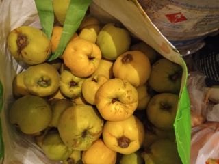 Ripe fresh organic fruit from the vicinity of Płońsk