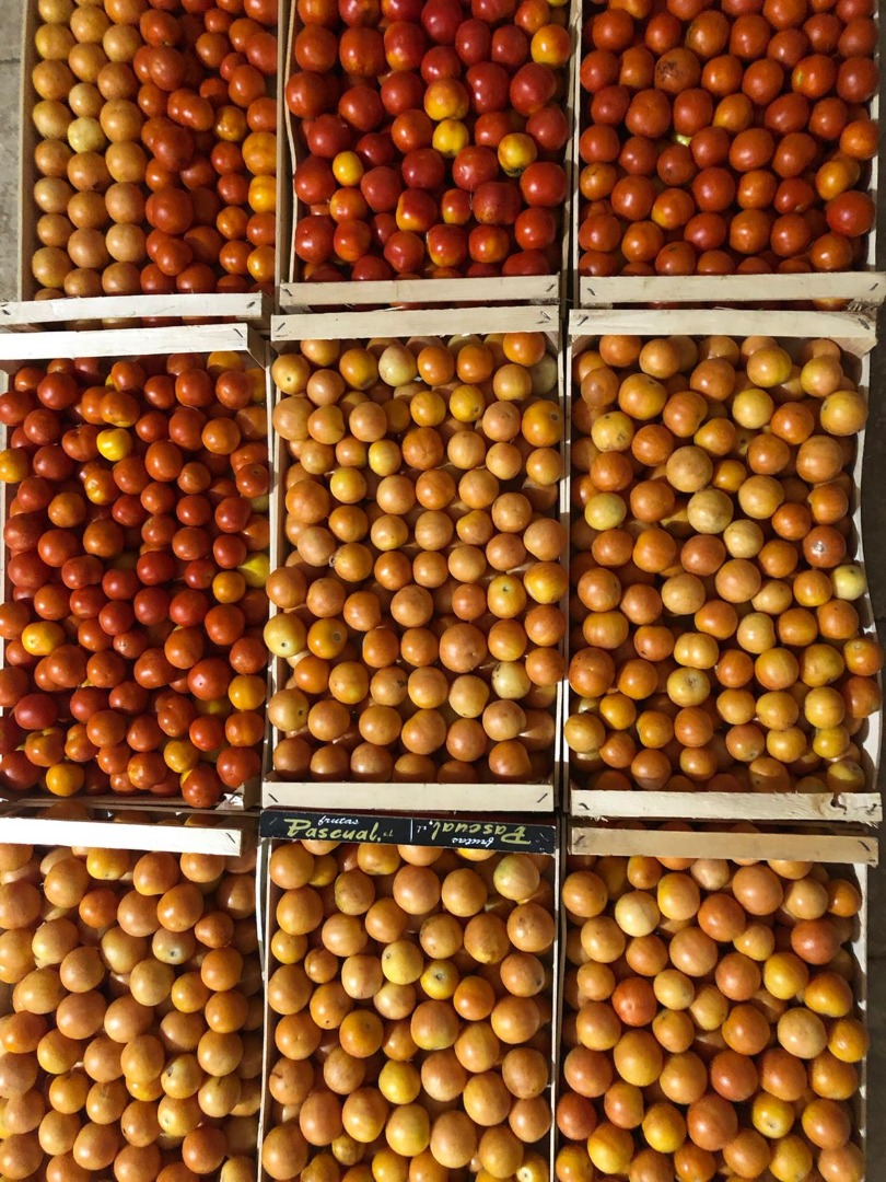 Yellow Red winter tomatoes available at 2 euros per kg or in trays from 500g to 1.50 per pcs For info and reservations Ugento via acquarelli n37 Company