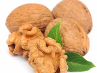 We buy walnuts in Khmelnitsky, Kiev, Poltava regions from