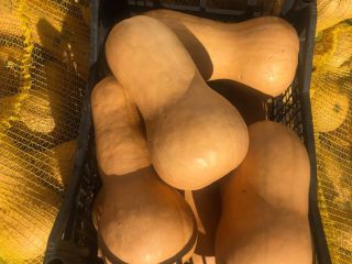 I'm selling pumpkin pie. Approximate quantity 10 tons.