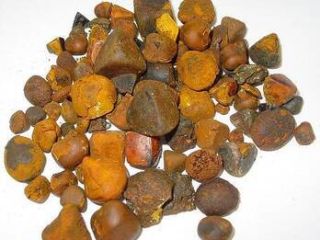 GALLSTONES gallstones are used in alternative medicine to treat