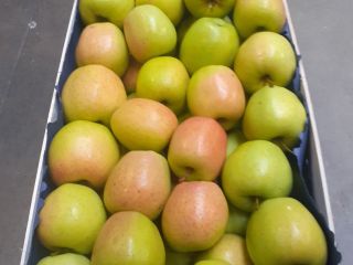 Our company trades in apples and distributes apples all