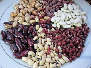 Beans in bulk (made in Ukraine) The Ukrainian company