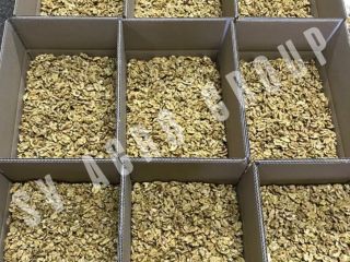 Hello! We are a direct exporter of walnut from