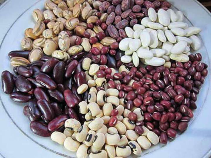 Beans in bulk (made in Ukraine) The Ukrainian company Bins Naturprodukt sells beans in bulk