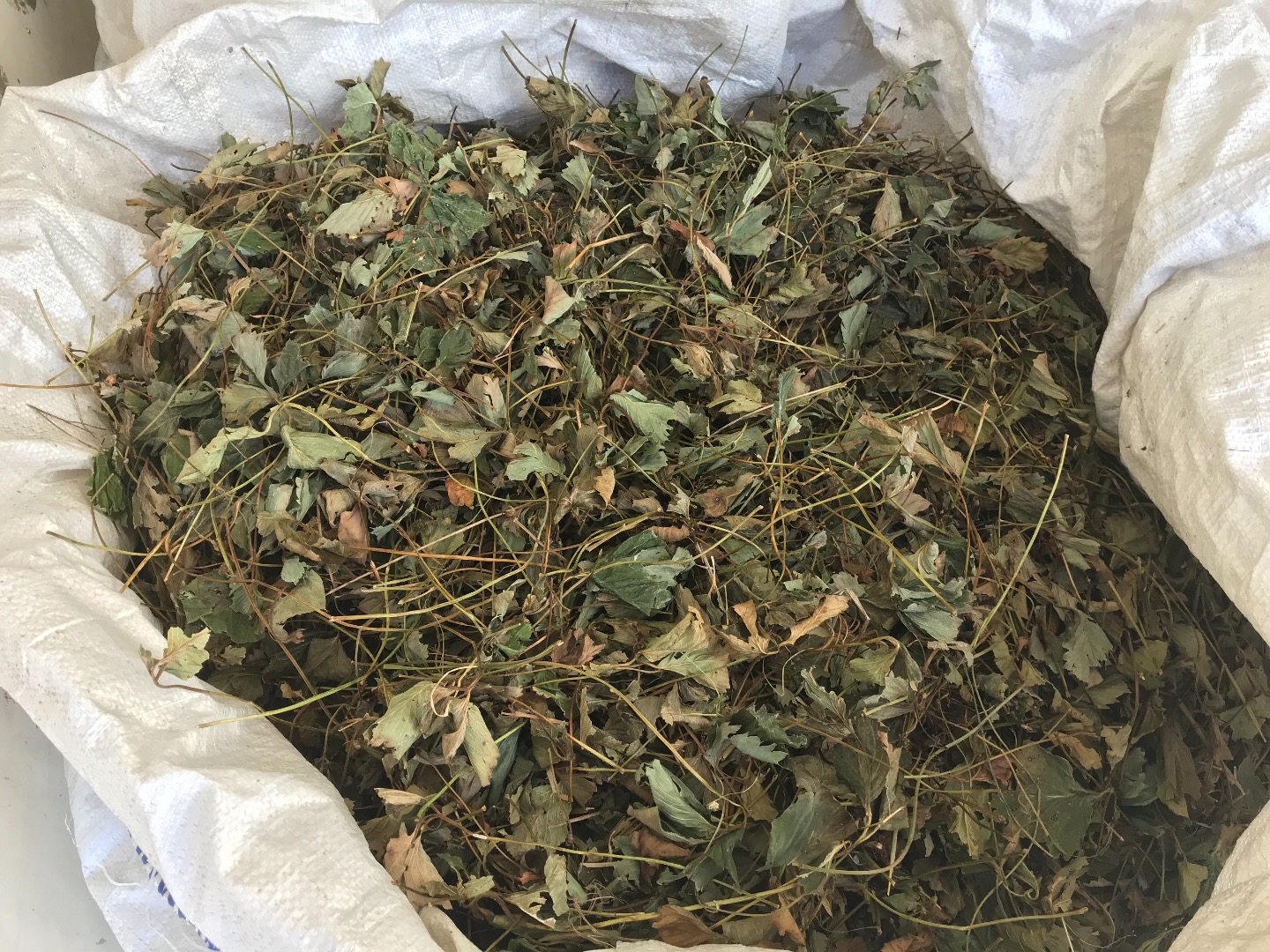 I will sell dry strawberry leaves