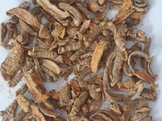 We are an importer of ginger in the rhizome.