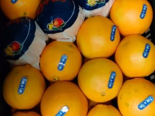 Navelina Spanish oranges for sale. Fruit straight from the