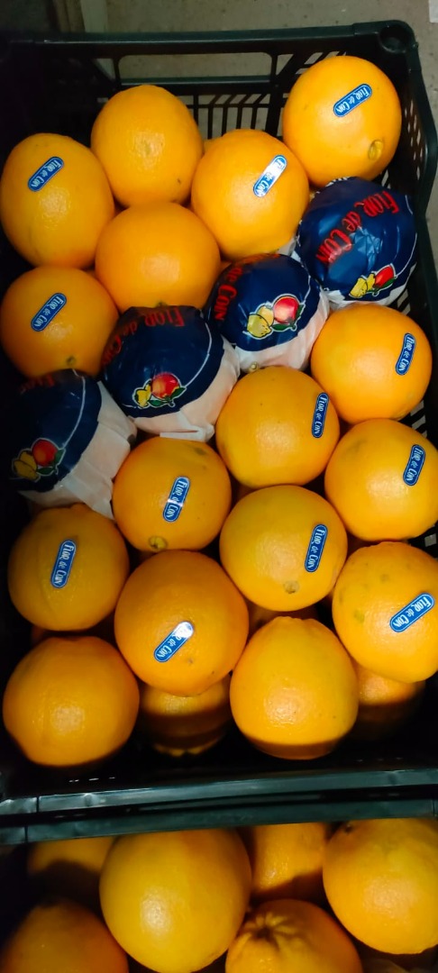 Navelina Spanish oranges for sale