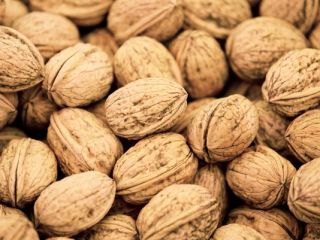 I will buy a walnut unshelled, 40 tons.
