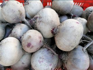 Pret: negociabil in functie de cantitatea dorita. Producator local