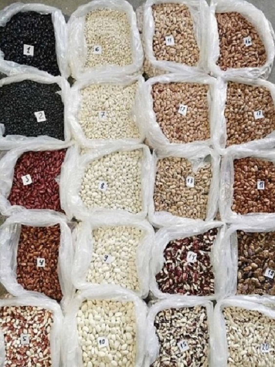Selling different varieties of beans Bins NaturProduct sells different varieties of beans in bulk with delivery throughout Russia, Asia, Europe, Georgia